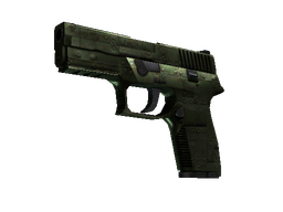 P250 (StatTrak™) | Iron Clad