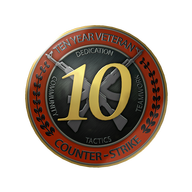 Veteránská mince (10 let)