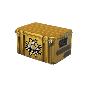 Revolver Case