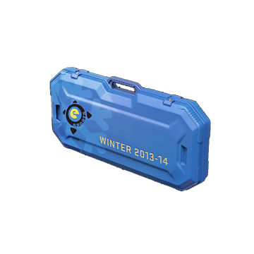 eSports 2013 Winter Case